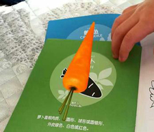 手指書